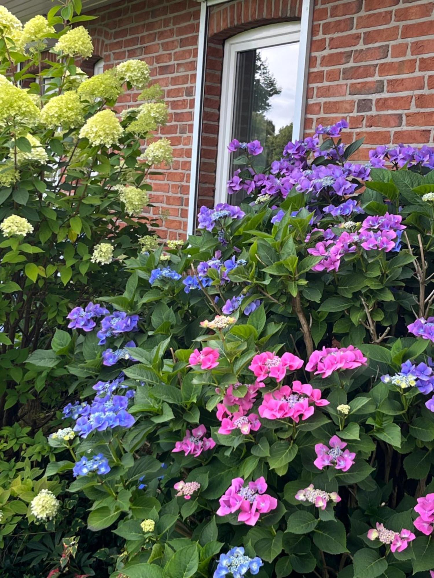 Ladelund Gartenzimmer Zwischen Den Meeren מראה חיצוני תמונה