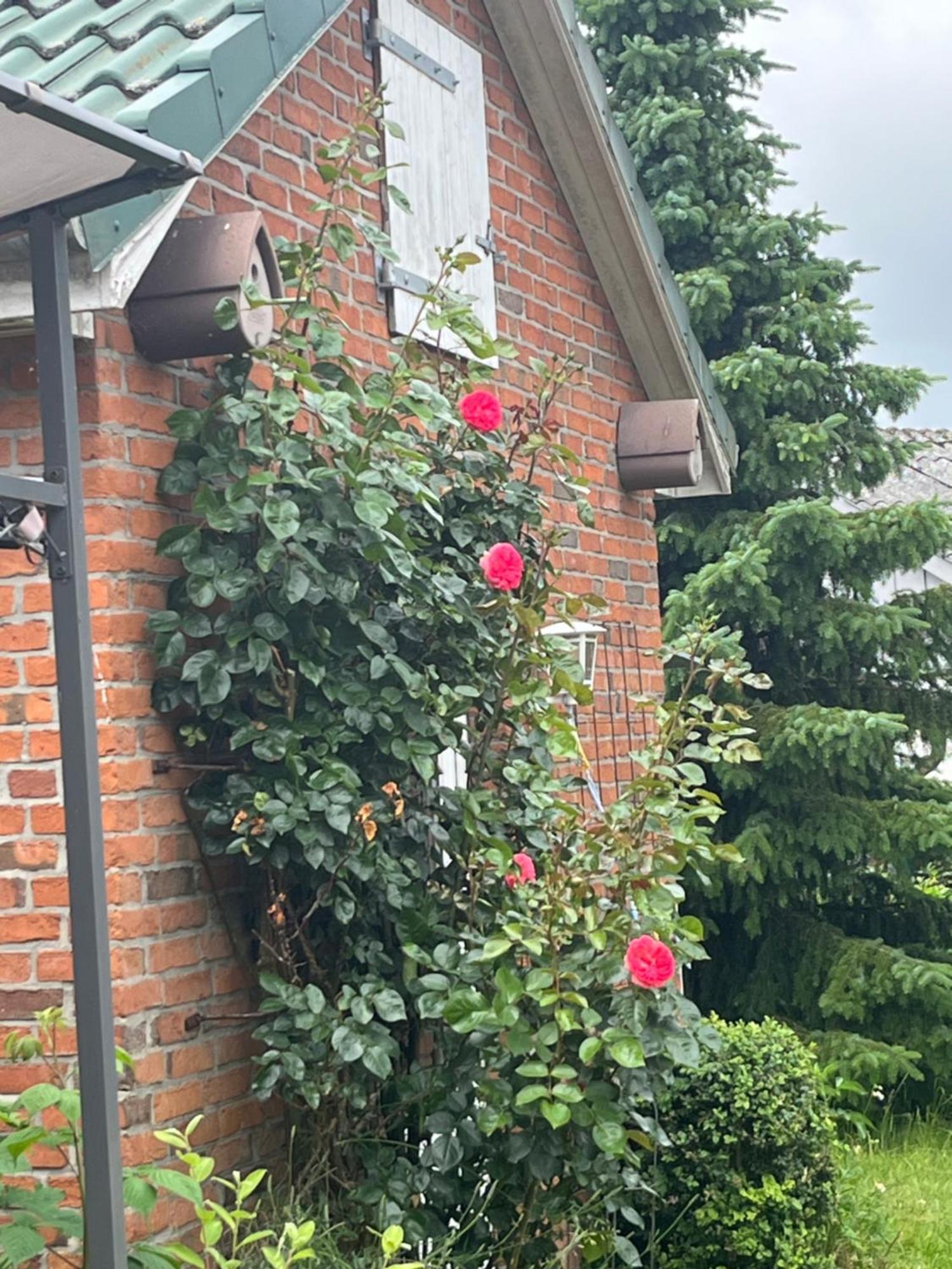 Ladelund Gartenzimmer Zwischen Den Meeren מראה חיצוני תמונה